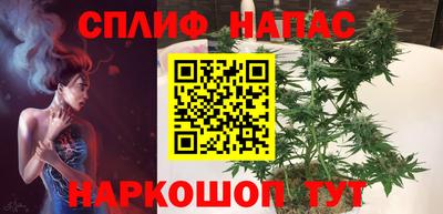 apvp Краснознаменск