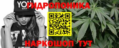 крисы Коммунар