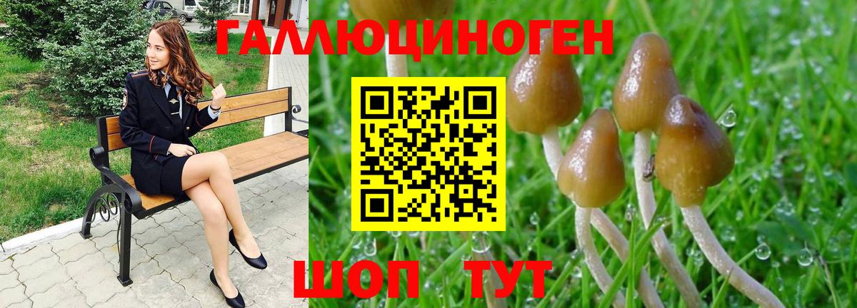 Сыктывкар  Псилоцибиновые грибы Psilocybe  Вход с VPN 